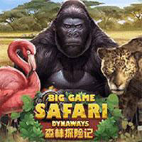 Big Game Safari